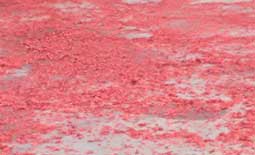 惠州鑫遠程自動化【前處理包銅箔脫鋁箔一體機】初八開工啦??！